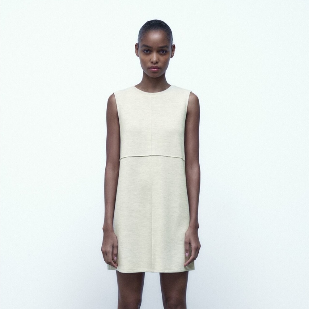 Zara Basic Dress